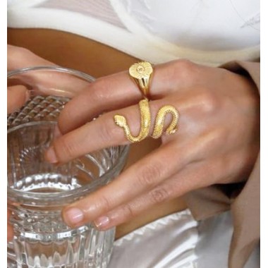 ANILLO SERPIENTE CON PLATA 925