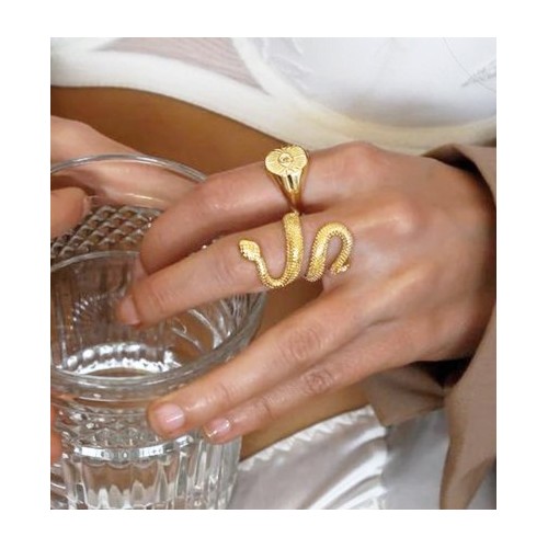 ANILLO SERPIENTE CON PLATA 925